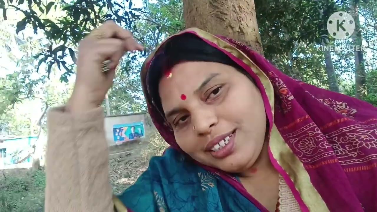 ଗୁପଚୁପ ଖାଇଲୁ ସବୁ ଜା ମିଶି//suchitra jena vlogs 