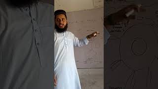 Structure of neuron by zoologist safi ullah 