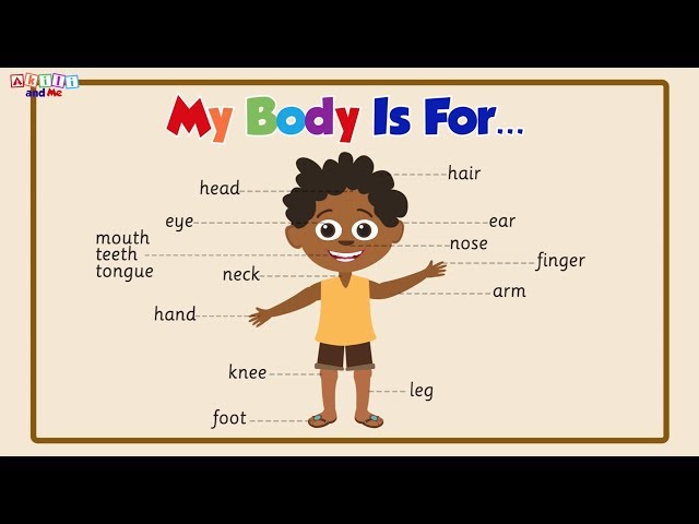 My Body Is For | Read with Akili and Me | Educational Cartoons for Preschoolers