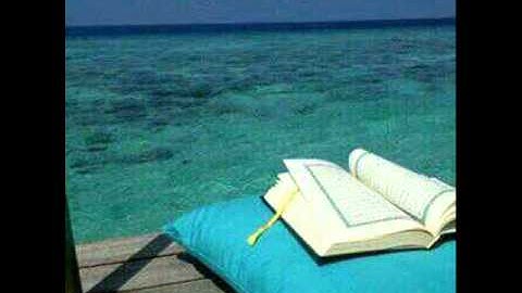 ماتيسر من سورة غافر للقارئ عبدالرحمن رخيص