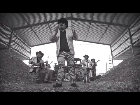 Los Avila -