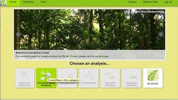 Quick introduction to the BioVeL portal