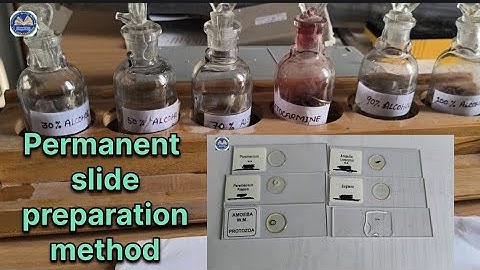 Permanent Slide Preparation Method l Permanent Slide Kaise Banaye l BSc MSc NEP Biology Practical