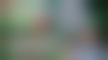 Simple GTO Trainer & PioSolver: Tutorial & Training Session