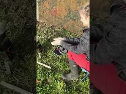 Vire Mini Rocket