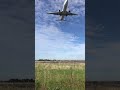 Amazing Boeing 737 Approach Melbourne Airport Daily Dose of Aviation DDOA #shorts #planespotting