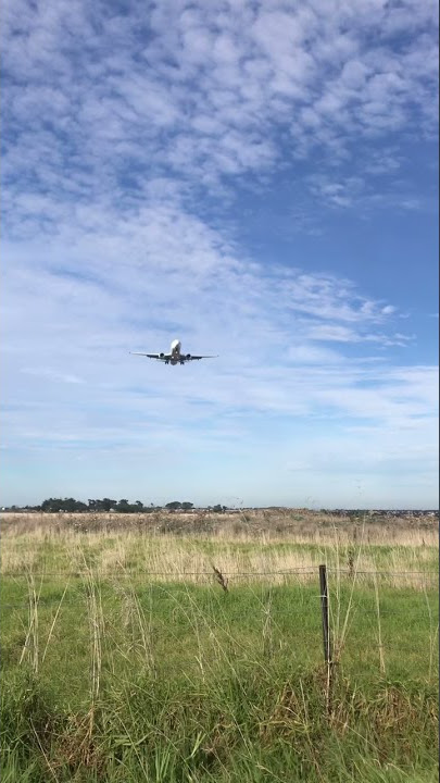 Amazing Boeing 737 Approach Melbourne Airport Daily Dose of Aviation DDOA #shorts #planespotting