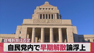 自民党内で早期解散論浮上　政権幹部は否定（2021年3月19日）