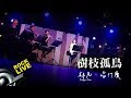 【林凡。唱什麼】《樹枝孤鳥 Lonely tree,lonely bird》(4K Video)