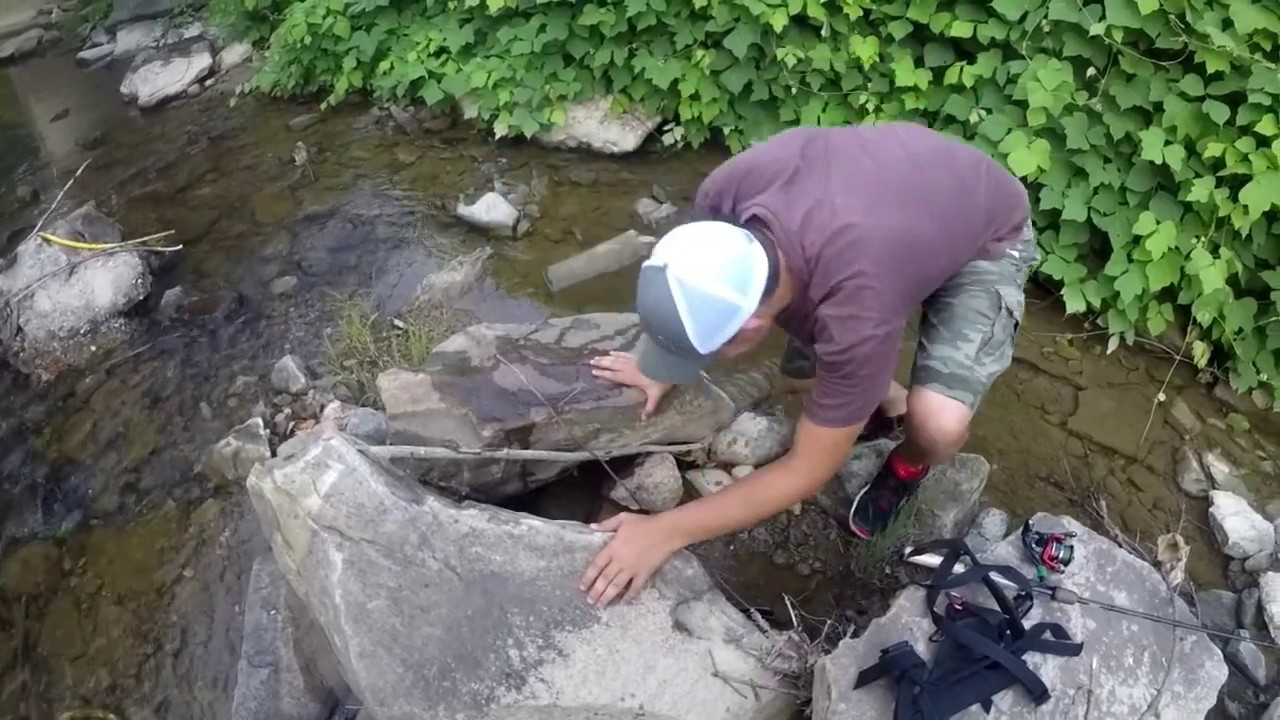 Small creek fishing with big save and using RUNCL Anchor Box