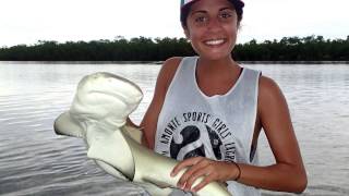 Marine Biology Internship Coral Reef And Shark Research College Of Charleston Youtube