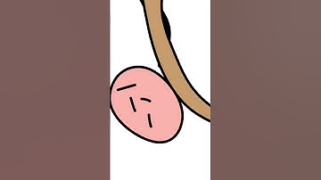 Nitrogen fixation | Microbiology #bacteria #microbiology #nitrogenfixation #education