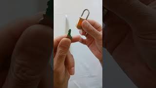 Asma Kilit Nasıl Açılır? 1 Saniyede Pratik Yöntem Creative Commons