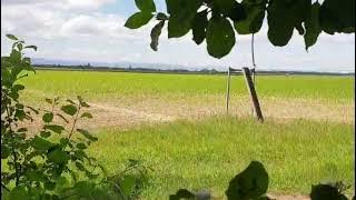 VID 20250524 WA0002