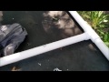 The $100 DIY Golf Net The $100 DIY Golf Net