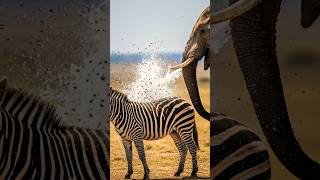 Brave African Elephant Saves Innocent Zebra Trapped Under Bees attack! #animals #helpanimal