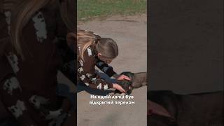 Злата не могла рухатись… Вона просто лежала посеред дороги й чекала на диво