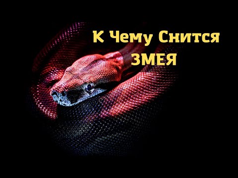 К чему снится ЗМЕЯ или видеть во сне ЗМЕЮ | Толкование снов | Сонник Sk1.online