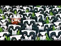 We Filled Panda's House With Pandas! - Minecraft