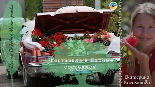 Фестиваль 