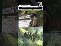 Security forces intensify search operation in Dorimal Forest as ‘Ops Sheruwali’ enters 31st Day