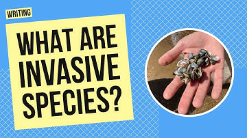 What Are Invasive Species? | Writing and Science Lesson