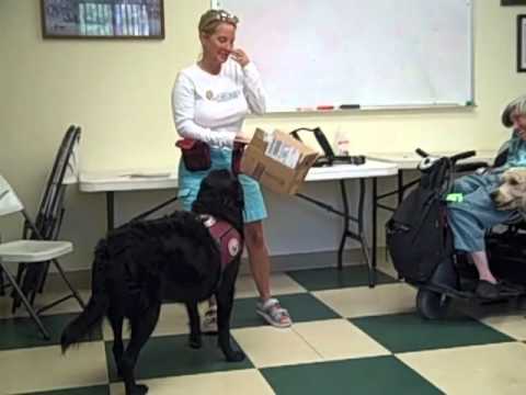 Service dog Presentation Sponsored By Nature's Sel...