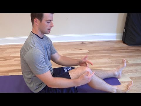 Straight Leg Raises
