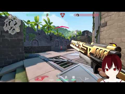 Valorant || Why Chamber Why? Valorant || Why Chamber Why?