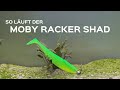 Der Racker Shad von Moby Softbaits - Gummifisch zum Angeln auf Hecht, Zander und Barsch, Dorsch &amp; Co