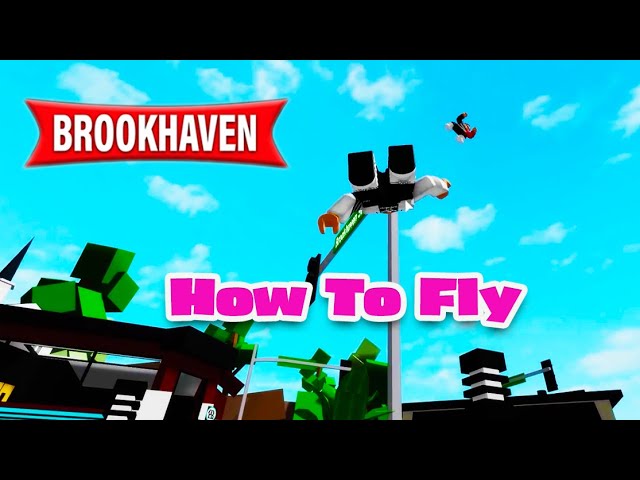 HOW TO FLY in BROOKHAVEN! (Roblox *SECRET* Glitch) 