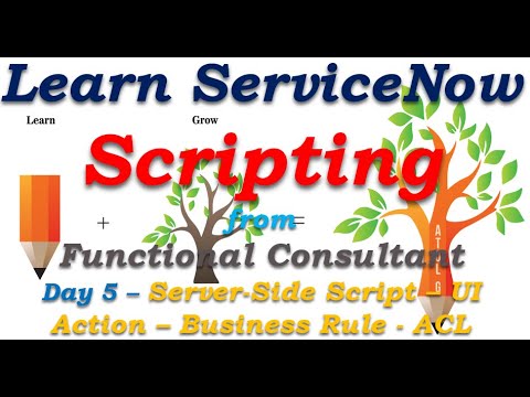 Day5| ServiceNow Scripting - Server-Side Script -UI Action-BR -ACL| Learn From Functional Consultant