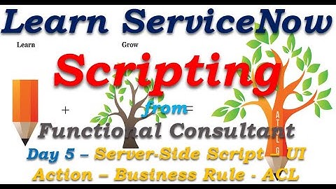 Day5| ServiceNow Scripting - Server-Side Script -UI Action-BR -ACL| Learn From Functional Consultant