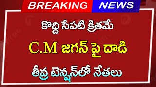 #జగన్  పై దాడి || తీవ్ర టెన్షన్ లో YCP నేతలు |Big Breaking News || Telugu News |CJ |AP Updates