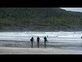 Cox Bay Beach Spring Walking Tour - Tofino, British Columbia・4K HDR