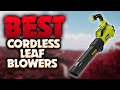 Best Cordless Leaf Blowers 2024 [don’t buy one before watching this]
