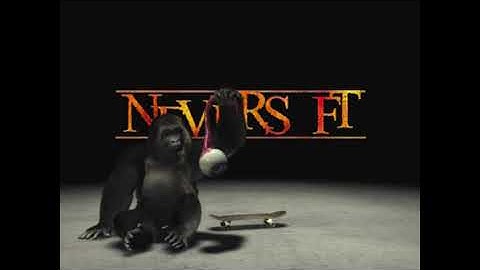 Sega, Activision, United Game Artists, Neversoft, Raven and Vicarious Visions 2002