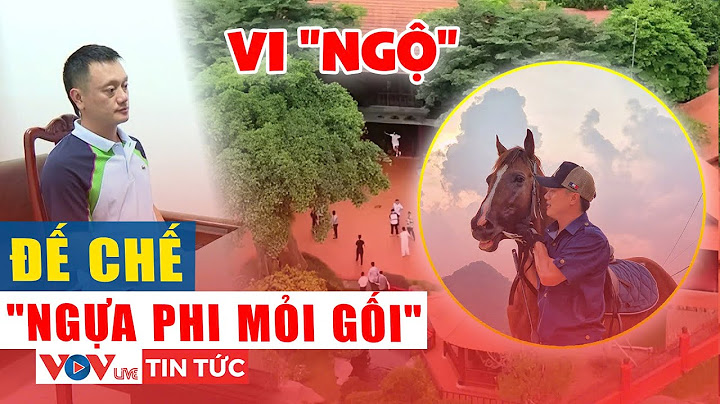Phanh phui đế chế "ngựa phi mỏi gối" của Vi “ngộ” - trùm giang hồ giả điên xứ Thanh | VOV Live