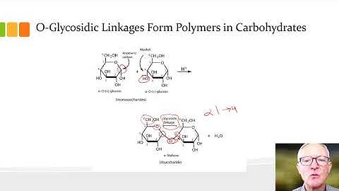 Module 2 Topic 4 Video #4 Which Sugars in Grapes