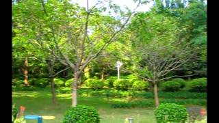 Городской парк в Шеньчжене (Китай)(Вполне обычный для китайцев парк для семейного отдыха. Здесь пускают воздушных змеев, занимаются тайчи..., 2015-05-06T08:53:06.000Z)