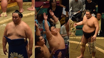 Yoshinofuji, Shodai, Hiradoumi, Asanoyama training reports; Onosato