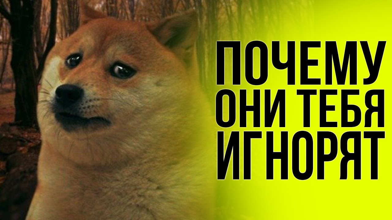 Что делать если со мной не хотят общаться девушки Что делать если со мной не хотят общаться девушки