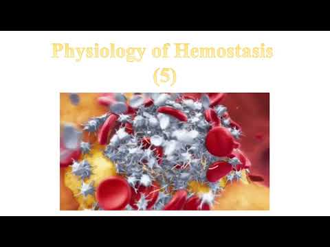 Physiology of Hemostasis 5 Natural Anticoagulants