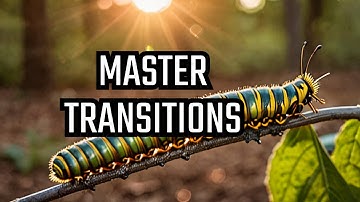 Embrace Change: A Guide to Transition Periods