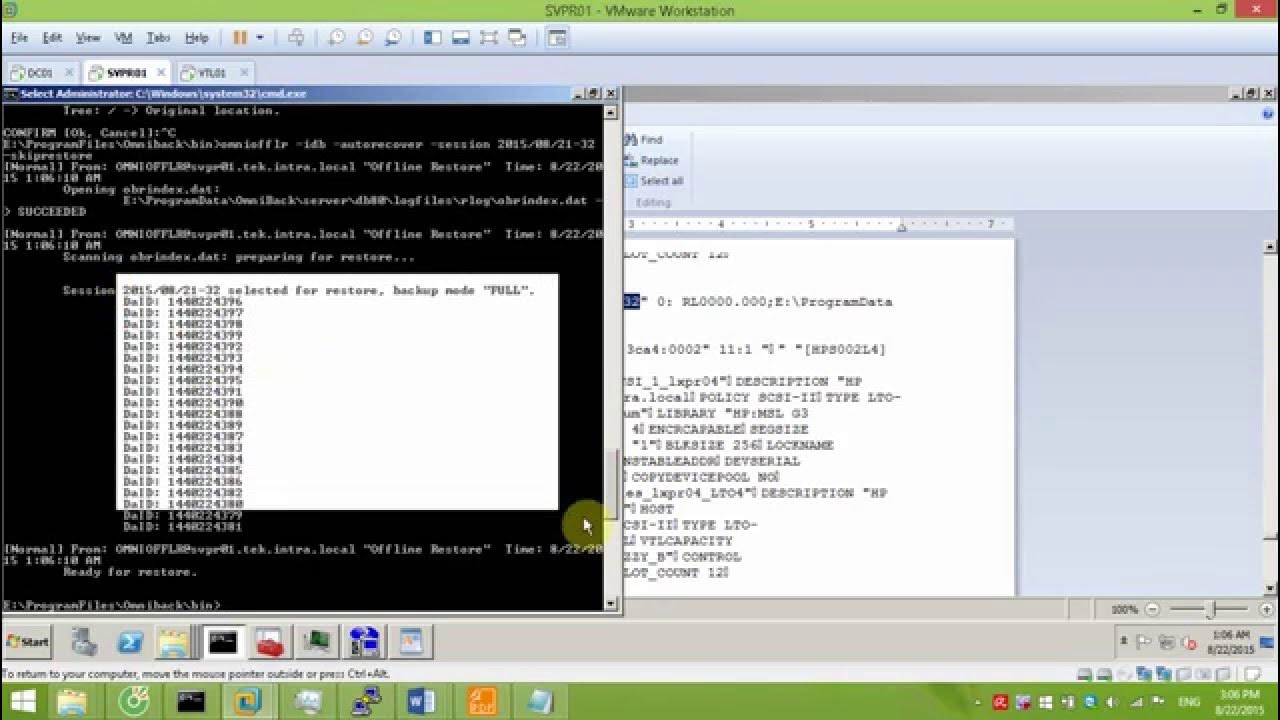 HP Data Protector Restore IDB using omniofflr YouTube
