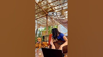 Turn your images into cinematic videos using Kling AI 🤖 #klingai #imagetovideo #aicreativity