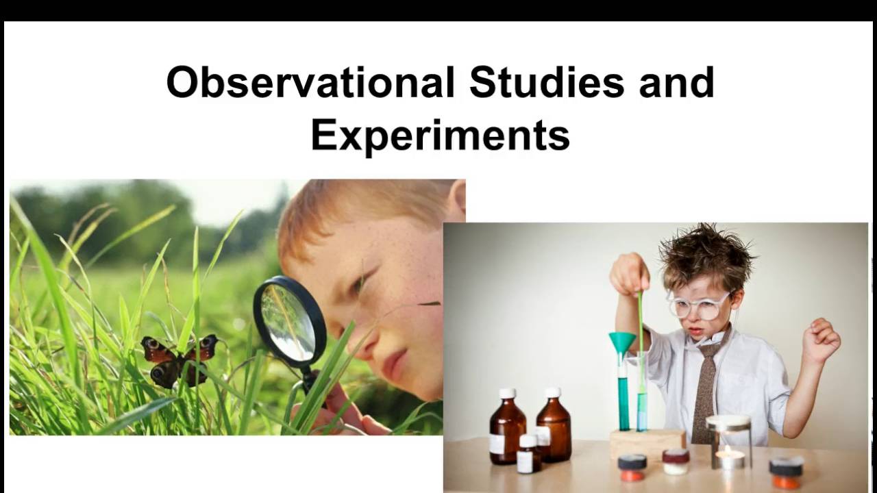 Observational Studies And Experiments YouTube