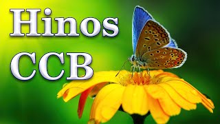 HINOS CCB - Belíssimos Hinos Hinário 5 Cantados CCB - Congregação Cristã #01