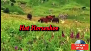 Hot Horseshoe