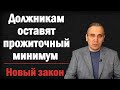 Минимальный гарантированный доход защитят от приставов. Прожиточный минимум будет неприкосновенным!